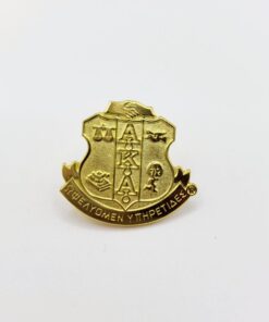 Sandblast Gold Shield Pin